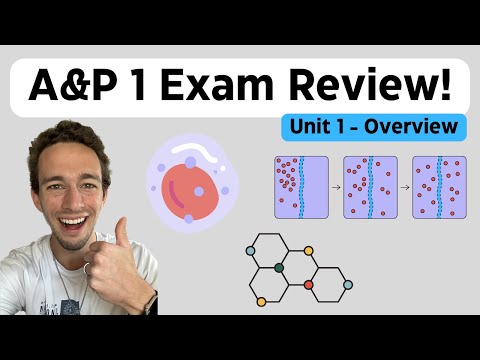 Anatomy & Physiology: Unit 1 Review | Homeostasis, Chemistry, Cells, & Tissues