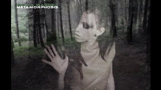 BELLA WAGNER - Metamorphosis (Official Musicvideo)