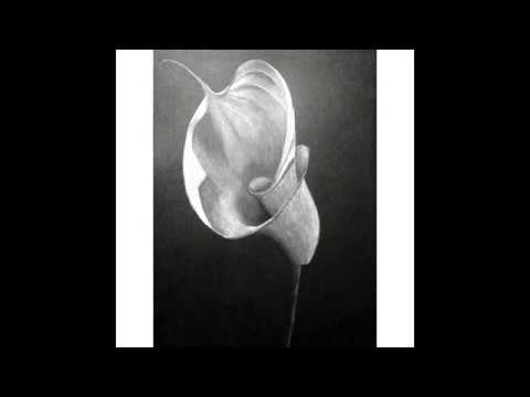 Angèle — Les amoureux des bancs publics