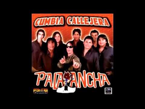 Pala Ancha - Tarde me di cuenta (inédito 2004)