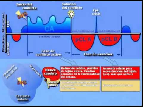 Canción original del Dr  Hamer, para sanar  una hora
