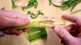 Chef'n Tipster Vegetable Tipper Kitchen Cooking Gadget Revie