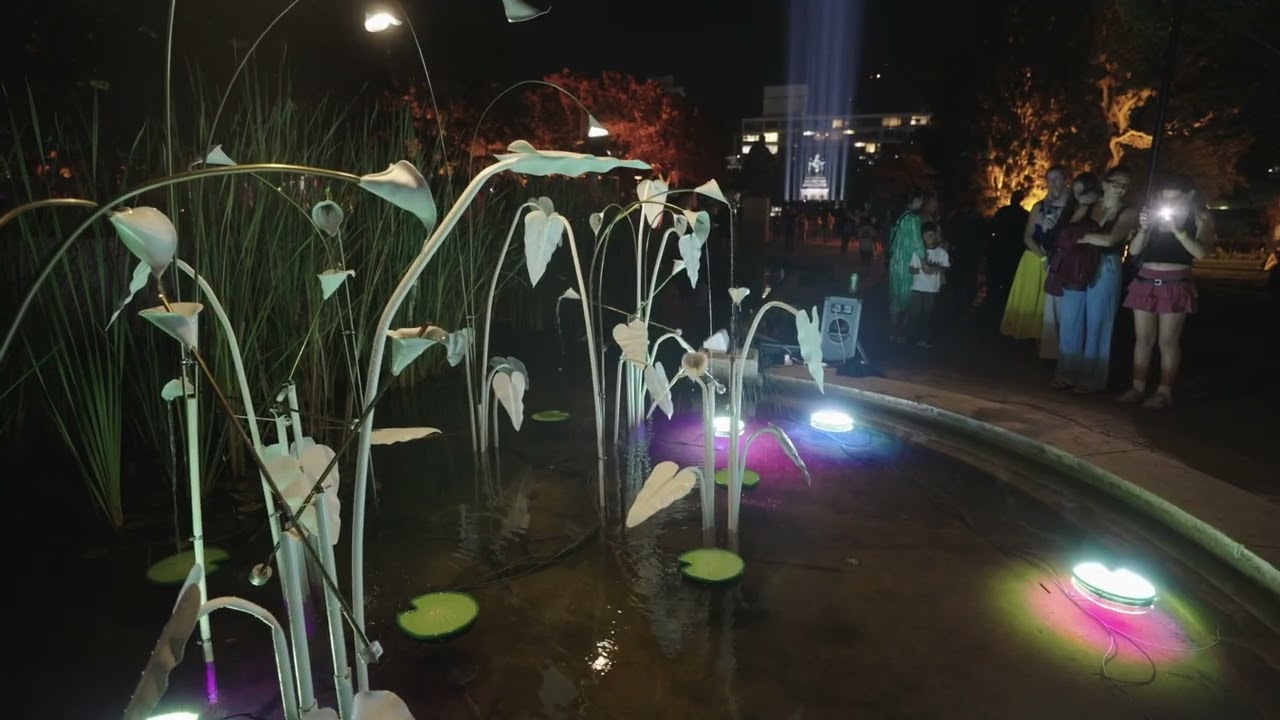 Lily Pad installation film