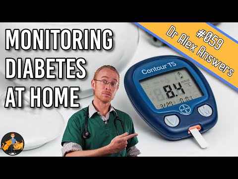 How To Monitor Your Pet's Diabetes at Home (blood glucose +more!) - Dog + Cat Health Vet Advice