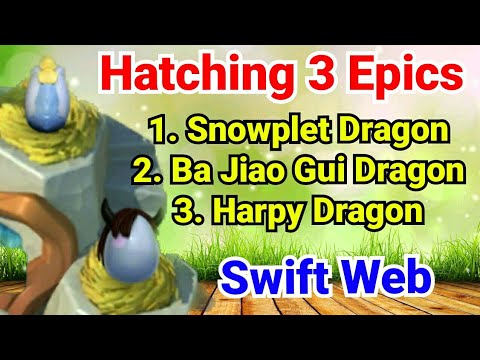 Hatching SnowPelt Dragon, Harpy and Ba Jiao Gui Dragon | Dragon Mania Legends | Dml