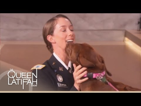 Dogs on Deployment Reunites Soldier with Her Dog on The Queen Latifah Show