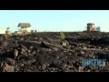 Living on the Lava, Big Island, Hawaii