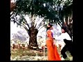 Chembaruthi Tamil Movie Songs Nila Kaayum Neram Tamil Songs Prashanth Roja Ilaiyaraaja