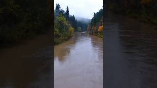 The Eel River.  #nature #water #river #california