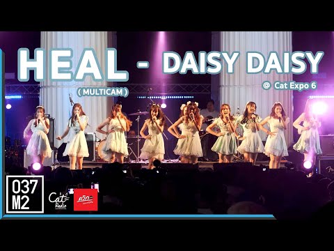 191123 Daisy Daisy - Heal @ Cat Expo 6 [Multicam Fancam 4k60p]