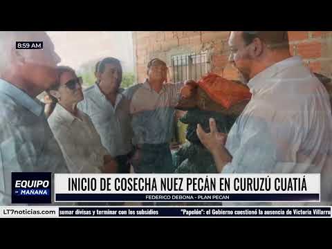 Comenzó la cosecha de nuez pecán en Curuzú Cuatiá: charlamos con Federico Debona