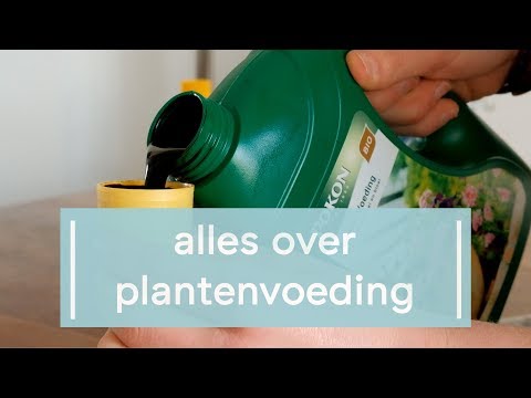 , title : 'Alles over plantenvoeding'