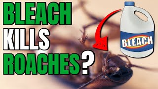Does Bleach Kill Roaches? | 👀 Shocking Results Revealed!