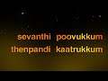 Sevanthi Poovukkum Thenpandi Kaatrukkum Tamil Song