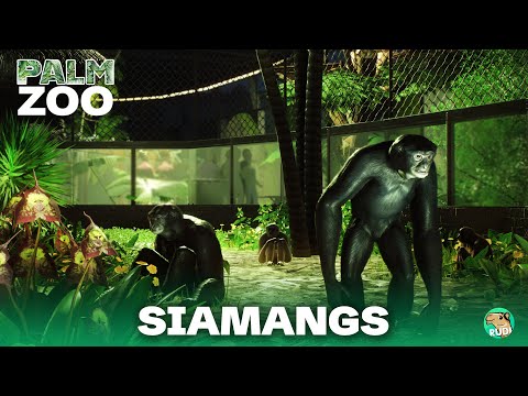 Siamang Habitat | THE PALM: ZOO 06 - Tropical House Speedbuild