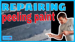 How to repair peeling paint, how to fix peeling/flaky paint.