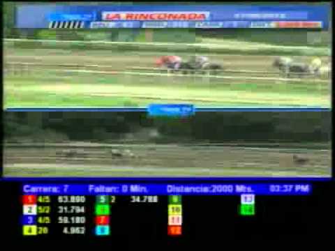 CLASICO CRIA NACIONAL 2012 DOM 17 JUNIO LA RINCONADA AUDIOHIPISMO