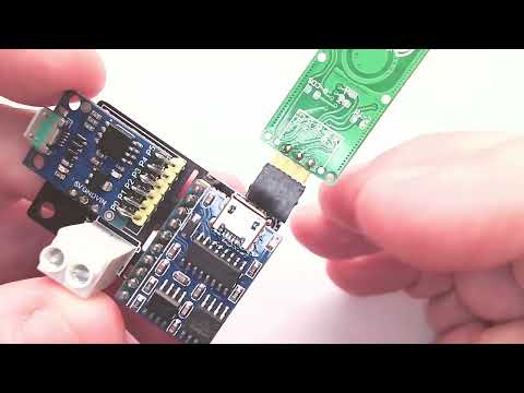 Det baut Zeugs - The Cricket