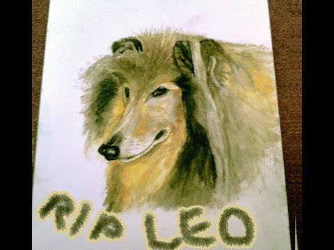 6 Hour Continuous House and Bass Music Live DJ Set (March 2018)