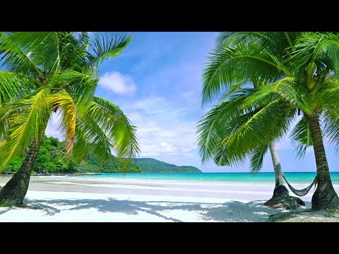 Tropical Beach, White Noise for relaxation & Sleep |  Distant Ocean Wave & Seabird Ambience