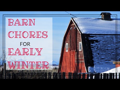 , title : 'Barn Chores For Early Winter - Homesteading Farm Life'