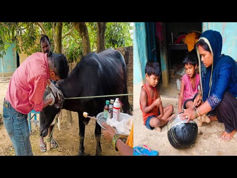 😭पशु की दवा के इतना ज्यादा पैसा लगेगा कभी सोचा नहीं किधर  से इतना ज्यादा पैसा लेकर मैं आऊ