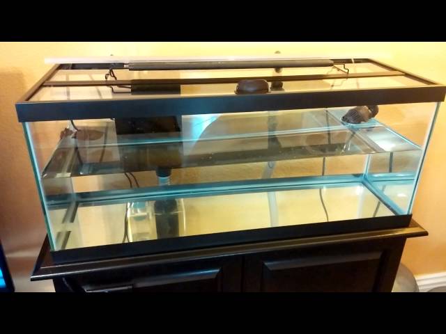 How to setup a 20 gallon nano reef tank, NEW TANK!