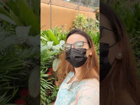 Infinitas experiências em um só lugar: Espaço Aroeira (Brasília)