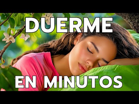 ¡Ni te darás cuenta de cuándo te has DORMIDO con esta Meditación!