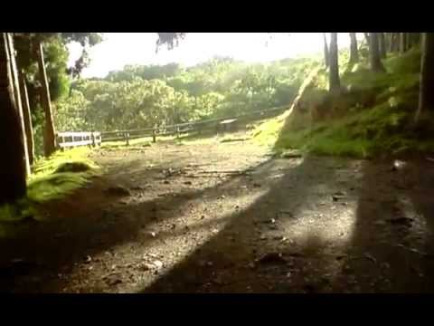 SAPOAK_Faites Gaffes_211208