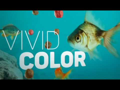 Watch Video on YouTube