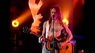 Iggy Pop - I wanna be your dog (acoustic)