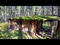 old abandoned trapper cabin