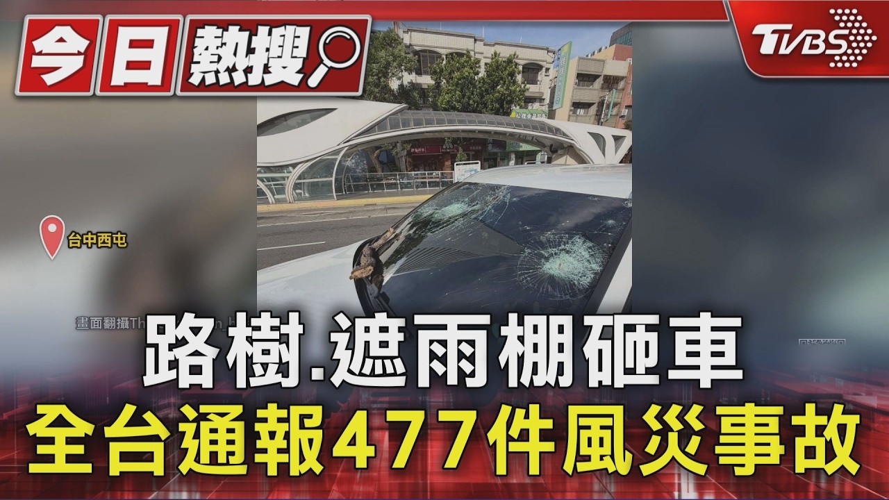 路樹.遮雨棚砸車 全台通報477件風災事故