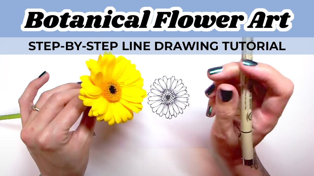 Step-by-step Line Drawing: Botanical Flower Art Tutorial