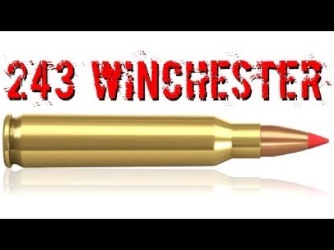 .243 Winchester - Will It Hunt? [Bullet Drop, Scope Dials, Energy and MORE]
