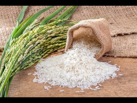 Rice Mill Machinery