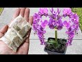 Don T Throw It In The Trash PURE GOLD VALUE FOR YOUR PLANTS