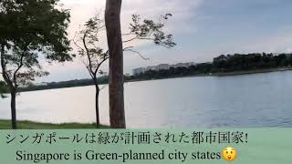 シンガポール　公園編(日常). Singapore Daily life Park Asia Bridge