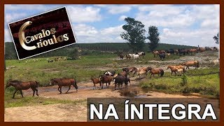 Miniatura do vídeo