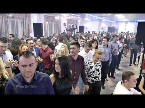 Olguța Berbec, Remus Novac si Borko Radivojevici-Tigrovi LIVE