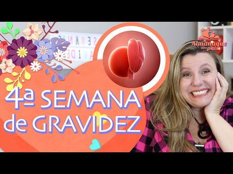 4ª SEMANAS DE GESTAÇÃO | Sintomas, a Gestante, Tamanho do Bebê, dicas | 1º TRIMESTRE DE GRAVIDEZ
