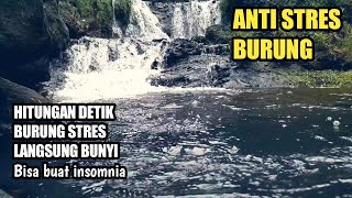 Download lagu TERAPI SUARA GEMERCIK AIR BUAT BURUNG STRES & Insomnia mp3 Download lagu TERAPI SUARA GEMERCIK AIR BUAT BURUNG STRES & Insomnia mp3
