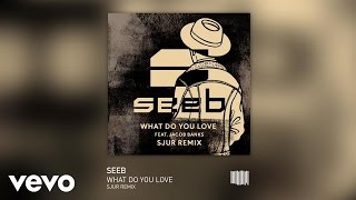 Seeb - What Do You Love (SJUR Remix) ft. Jacob Banks