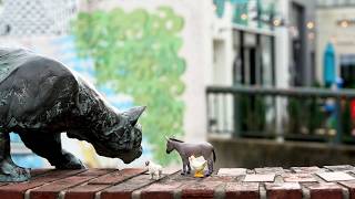 An Evening with David Wilcox at the Kravis Center