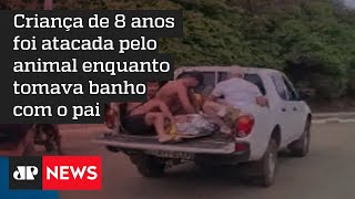Praia é interditada após criança ser atacada por tubarão