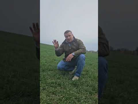 Österreich - Wintergerste: Einkürzung, Triebreduktion, Fungizidvorlage und optimale N-Versorgung!