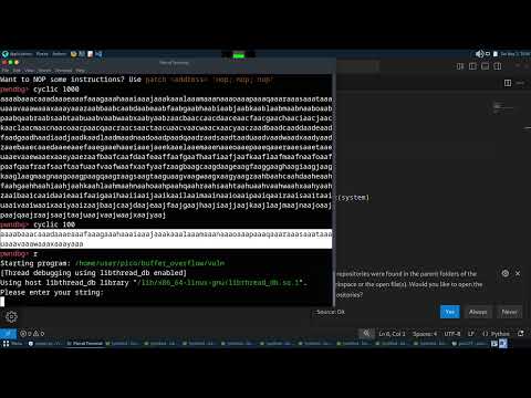 PicoCTF Binary Exploitation 1 | Walkthrough & Solution Explained! 🐧💻