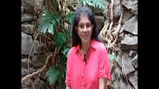 Download lagu Famous Sri Lankan Actress Nita Fernando Congratulate CeyIFF mp3