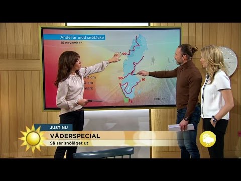 Väderspecial - så ser snöläget ut - Nyhetsmorgon (TV4)